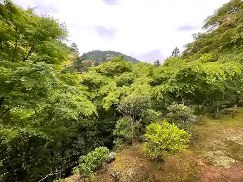 高山寺(京都府)