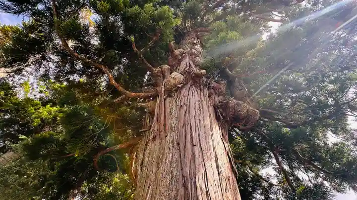 大幡彦姫神社(福井県)