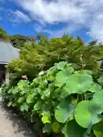 伊勢の国 四天王寺の自然