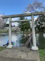厳島神社(市塙)の鳥居