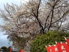 福生寺の自然