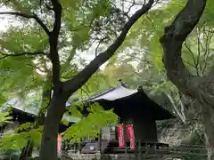 普門寺(切り絵御朱印発祥の寺)(愛知県)