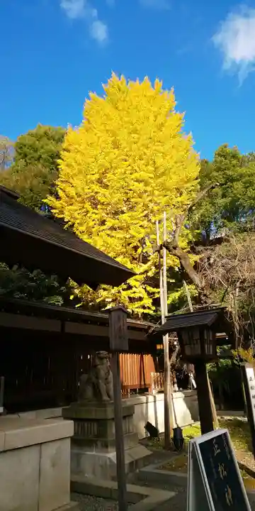 乃木神社の自然