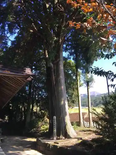 長野阿蘇神社の建物その他