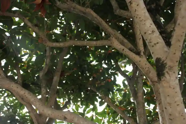 成蓮寺(島根県)