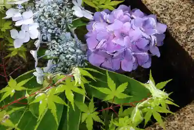 神炊館神社 ⁂奥州須賀川総鎮守⁂の手水舎