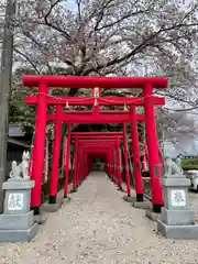 金井神社の鳥居