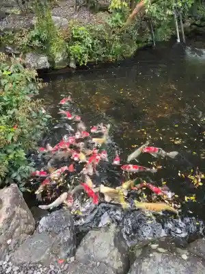 猿田彦神社の{uncategorized: "未分類", other: "その他", undefined: "問題あり", building: "その他建物", grave: "お墓", sacred_gate: "鳥居", guardian: "狛犬", statue: "像", buddha: "仏像", history: "歴史", nature: "自然", garden: "庭園", animal: "動物", pagoda: "塔", temizu: "手水舎", mountain_gate: "山門・神門", sanctuary: "本殿・本堂", subordinate: "末社・摂社", art: "芸術", scenery: "景色", jizo: "地蔵", ema: "絵馬", goshuin: "御朱印", omikuji: "おみくじ", items: "授与品その他", amulet: "お守り", goshuincho: "御朱印帳", eats: "食事", festival: "お祭り", votive_dance: "神楽", shichigosan: "七五三参", wedding: "結婚式", experience: "体験その他", initially: "初詣", around: "周辺", anti_infection: "感染症対策"}
