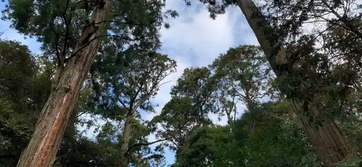 鹿島神宮の自然