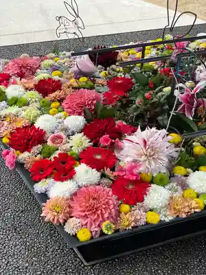 武蔵野坐令和神社(埼玉県)