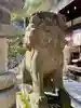 白峯神宮の狛犬