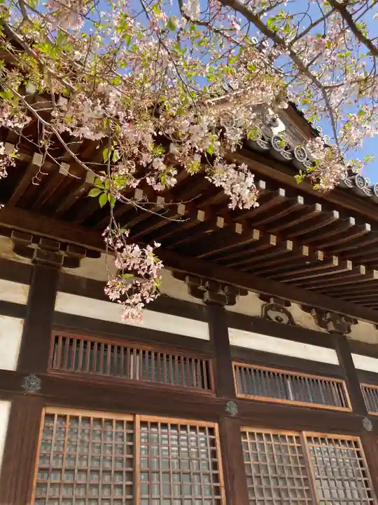 宝蔵寺の本殿・本堂