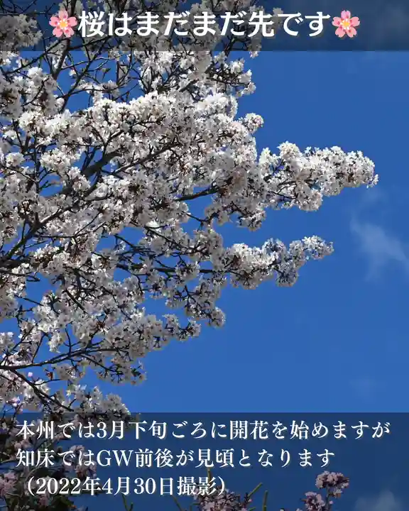 宝光寺(北海道)