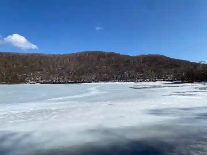 赤城神社の{uncategorized: "未分類", other: "その他", undefined: "問題あり", building: "その他建物", grave: "お墓", sacred_gate: "鳥居", guardian: "狛犬", statue: "像", buddha: "仏像", history: "歴史", nature: "自然", garden: "庭園", animal: "動物", pagoda: "塔", temizu: "手水舎", mountain_gate: "山門・神門", sanctuary: "本殿・本堂", subordinate: "末社・摂社", art: "芸術", scenery: "景色", jizo: "地蔵", ema: "絵馬", goshuin: "御朱印", omikuji: "おみくじ", items: "授与品その他", amulet: "お守り", goshuincho: "御朱印帳", eats: "食事", festival: "お祭り", votive_dance: "神楽", shichigosan: "七五三参", wedding: "結婚式", experience: "体験その他", initially: "初詣", around: "周辺", anti_infection: "感染症対策"}