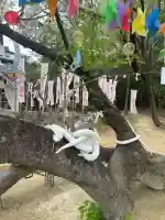 白美龍神社の{uncategorized: "未分類", other: "その他", undefined: "問題あり", building: "その他建物", grave: "お墓", sacred_gate: "鳥居", guardian: "狛犬", statue: "像", buddha: "仏像", history: "歴史", nature: "自然", garden: "庭園", animal: "動物", pagoda: "塔", temizu: "手水舎", mountain_gate: "山門・神門", sanctuary: "本殿・本堂", subordinate: "末社・摂社", art: "芸術", scenery: "景色", jizo: "地蔵", ema: "絵馬", goshuin: "御朱印", omikuji: "おみくじ", items: "授与品その他", amulet: "お守り", goshuincho: "御朱印帳", eats: "食事", festival: "お祭り", votive_dance: "神楽", shichigosan: "七五三参", wedding: "結婚式", experience: "体験その他", initially: "初詣", around: "周辺", anti_infection: "感染症対策"}