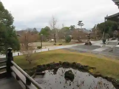  智積院(京都府)