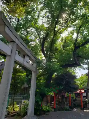 本郷氷川神社(東京都)