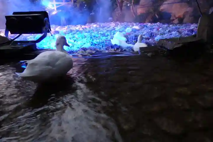 楽法寺(雨引観音)(茨城県)