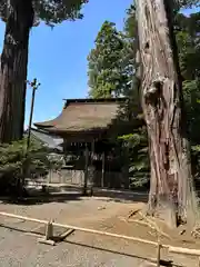 鹿島神宮(茨城県)