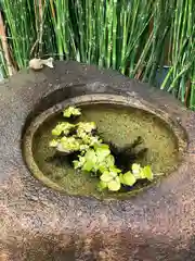 尼崎えびす神社の手水