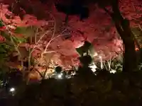 大山寺の自然