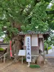 無量寺の自然