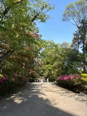 園城寺（三井寺）のその他建物