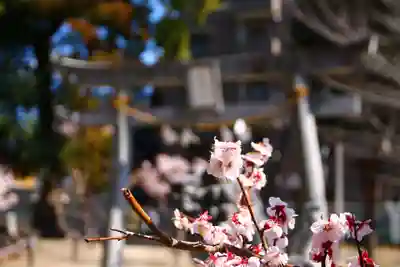 浅間神社(埼玉県)