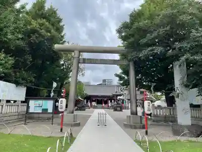 浅草神社の鳥居