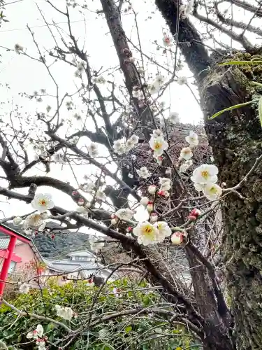 金鳳山 正法寺の{uncategorized: "未分類", other: "その他", undefined: "問題あり", building: "その他建物", grave: "お墓", sacred_gate: "鳥居", guardian: "狛犬", statue: "像", buddha: "仏像", history: "歴史", nature: "自然", garden: "庭園", animal: "動物", pagoda: "塔", temizu: "手水舎", mountain_gate: "山門・神門", sanctuary: "本殿・本堂", subordinate: "末社・摂社", art: "芸術", scenery: "景色", jizo: "地蔵", ema: "絵馬", goshuin: "御朱印", omikuji: "おみくじ", items: "授与品その他", amulet: "お守り", goshuincho: "御朱印帳", eats: "食事", festival: "お祭り", votive_dance: "神楽", shichigosan: "七五三参", wedding: "結婚式", experience: "体験その他", initially: "初詣", around: "周辺", anti_infection: "感染症対策"}