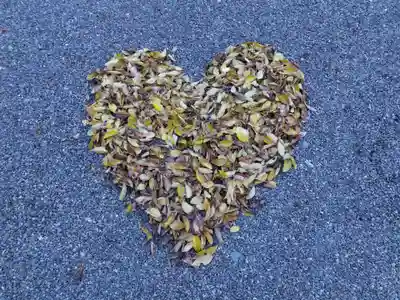足羽神社(福井県)