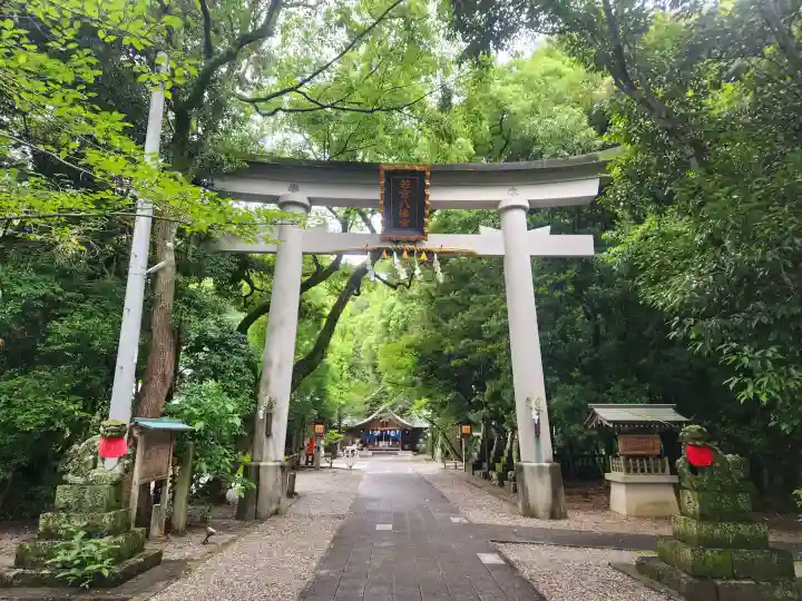 若宮八幡宮(高知県)
