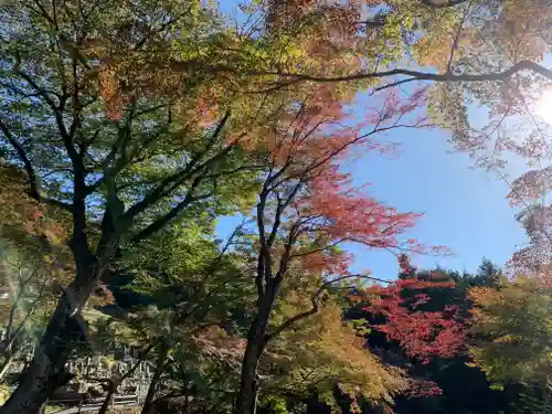普門寺(切り絵御朱印発祥の寺)(愛知県)