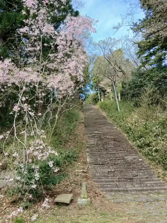 亀岡八幡宮の{uncategorized: "未分類", other: "その他", undefined: "問題あり", building: "その他建物", grave: "お墓", sacred_gate: "鳥居", guardian: "狛犬", statue: "像", buddha: "仏像", history: "歴史", nature: "自然", garden: "庭園", animal: "動物", pagoda: "塔", temizu: "手水舎", mountain_gate: "山門・神門", sanctuary: "本殿・本堂", subordinate: "末社・摂社", art: "芸術", scenery: "景色", jizo: "地蔵", ema: "絵馬", goshuin: "御朱印", omikuji: "おみくじ", items: "授与品その他", amulet: "お守り", goshuincho: "御朱印帳", eats: "食事", festival: "お祭り", votive_dance: "神楽", shichigosan: "七五三参", wedding: "結婚式", experience: "体験その他", initially: "初詣", around: "周辺", anti_infection: "感染症対策"}