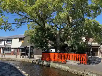 藤木社（賀茂別雷神社末社）(京都府)