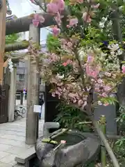 難波八阪神社(大阪府)