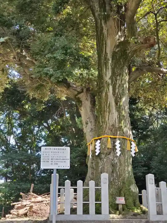 石作神社の自然