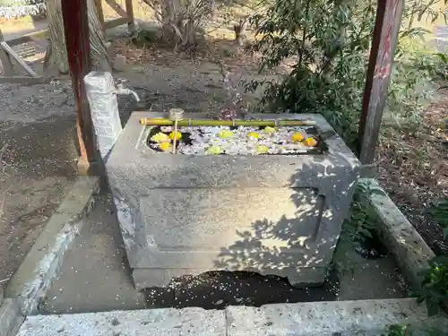 千代ケ岡八幡宮(栃木県)