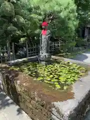福泉寺の庭園