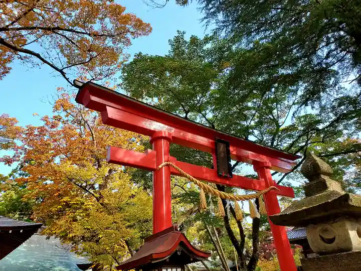 蠶養國神社の鳥居
