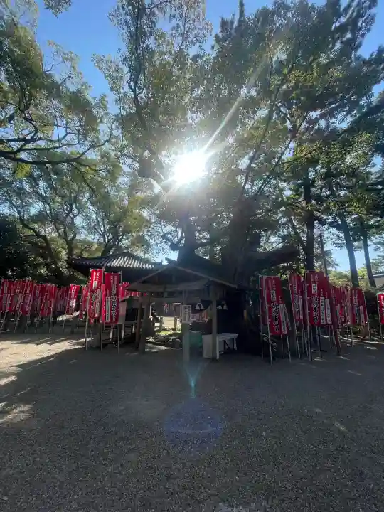 住吉大社(大阪府)