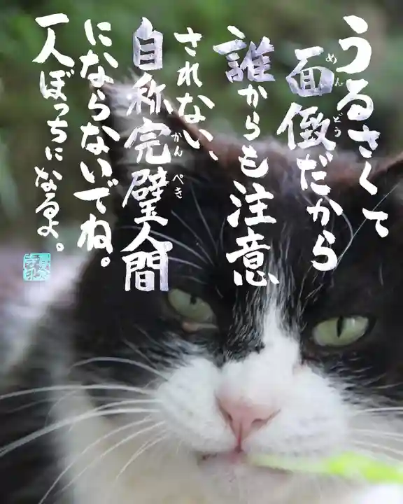 専念寺(大阪府)