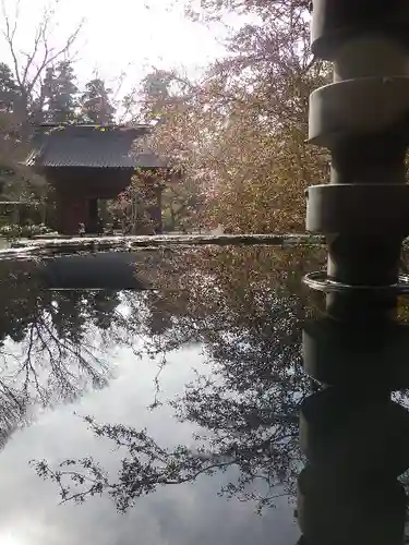 妙本寺の庭園