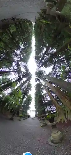 北口本宮冨士浅間神社(山梨県)