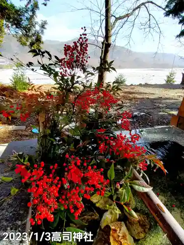 高司神社〜むすびの神の鎮まる社〜の手水