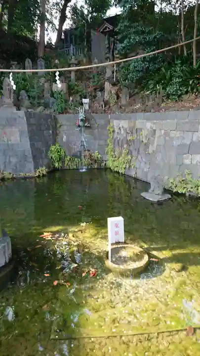 瀧泉寺(目黒不動尊)の自然