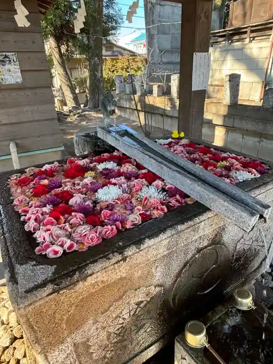 上野総社神社(群馬県)