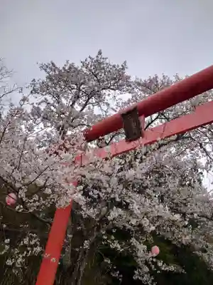隅田八幡神社(和歌山県)