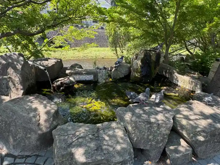 四柱神社の{uncategorized: "未分類", other: "その他", undefined: "問題あり", building: "その他建物", grave: "お墓", sacred_gate: "鳥居", guardian: "狛犬", statue: "像", buddha: "仏像", history: "歴史", nature: "自然", garden: "庭園", animal: "動物", pagoda: "塔", temizu: "手水舎", mountain_gate: "山門・神門", sanctuary: "本殿・本堂", subordinate: "末社・摂社", art: "芸術", scenery: "景色", jizo: "地蔵", ema: "絵馬", goshuin: "御朱印", omikuji: "おみくじ", items: "授与品その他", amulet: "お守り", goshuincho: "御朱印帳", eats: "食事", festival: "お祭り", votive_dance: "神楽", shichigosan: "七五三参", wedding: "結婚式", experience: "体験その他", initially: "初詣", around: "周辺", anti_infection: "感染症対策"}