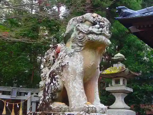 春日神社の狛犬